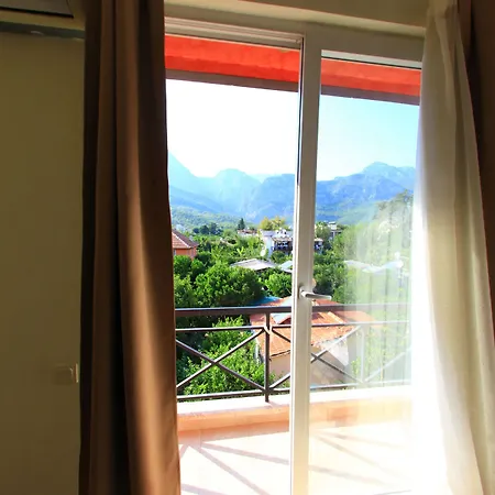 Anita Venus 4*